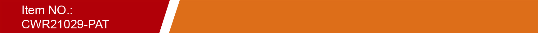 CWR21029-PAT CWR21029-PAT
